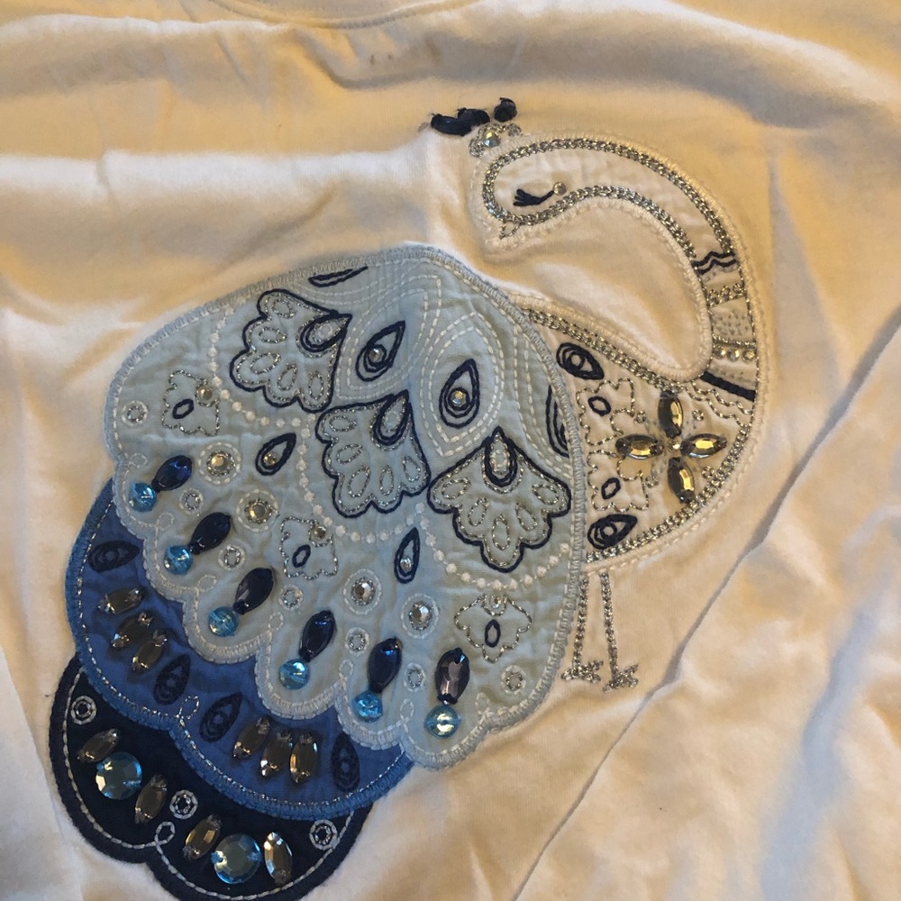 Gymboree long sleeve shirt size 12 peacock